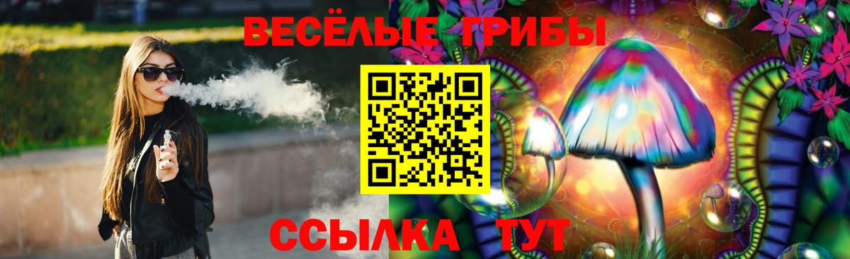 Лесосибирск  Галлюциногенные грибы Psilocybe  магазин продажи   Вход с VPN  Галлюциногенные грибы GOLDEN TEACHER 